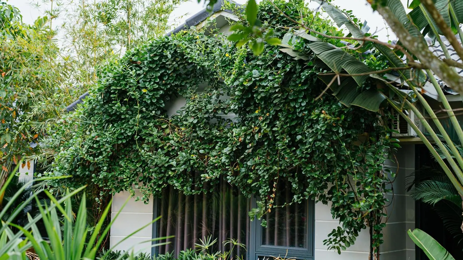 Khu Nghi Duong Sinh Thai Charm Village Vung Tau Apartment