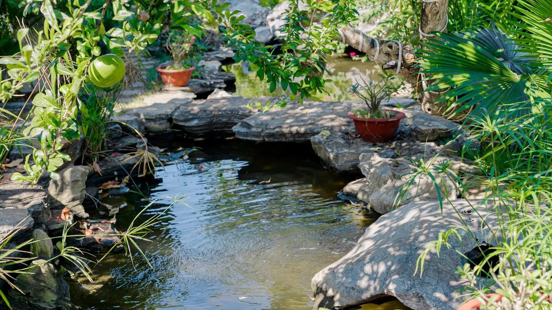 Apartment Khu Nghi Duong Sinh Thai Charm Village Vung Tau