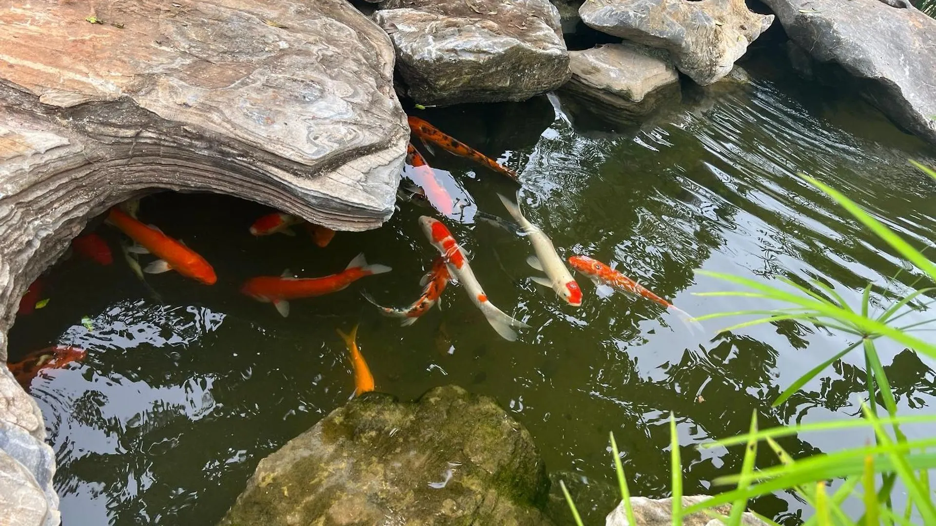 Khu Nghi Duong Sinh Thai Charm Village Vung Tau